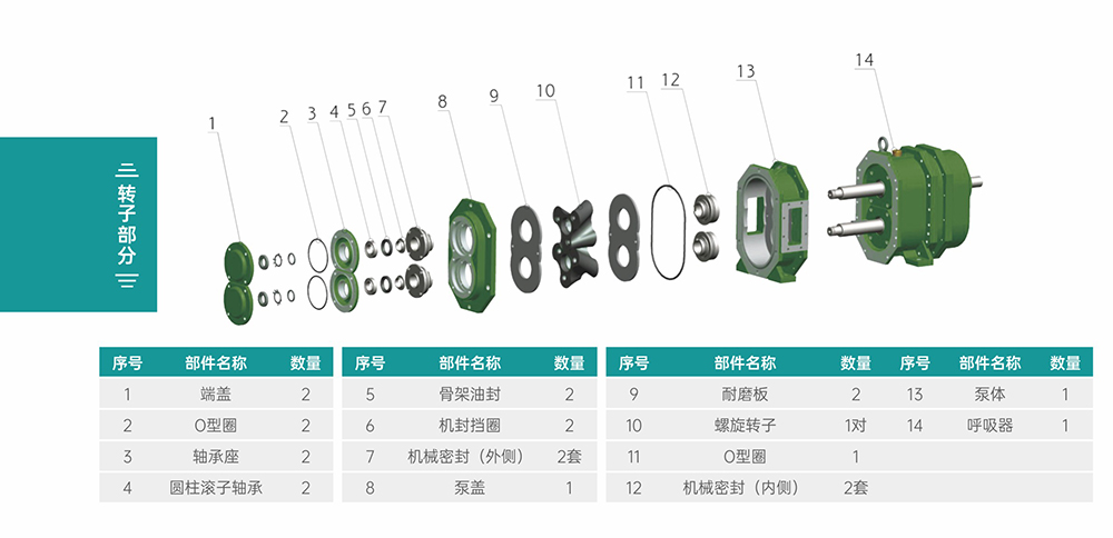 GS/DR系列凸輪轉子泵轉子部分結構圖